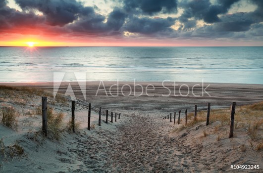 Picture of Sand path to North sea beach at sunset